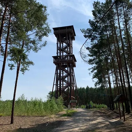 Pod świerkami * Boszkowo