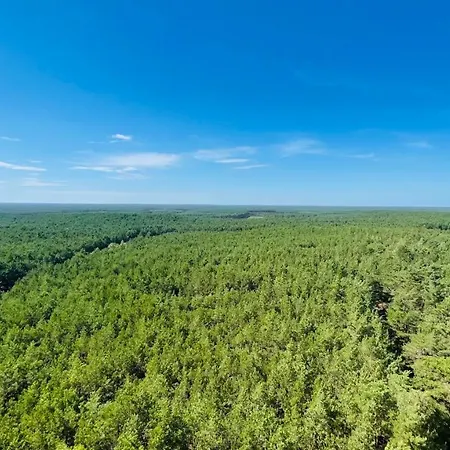 Dom wakacyjny Pod świerkami