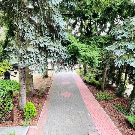 Pod świerkami Boszkowo