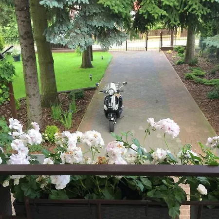 Pod świerkami Boszkowo