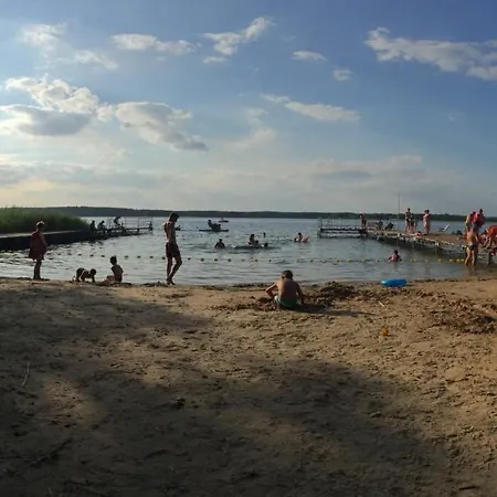 Pod świerkami *