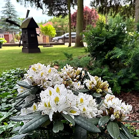 Дом отдыха Pod Swierkami