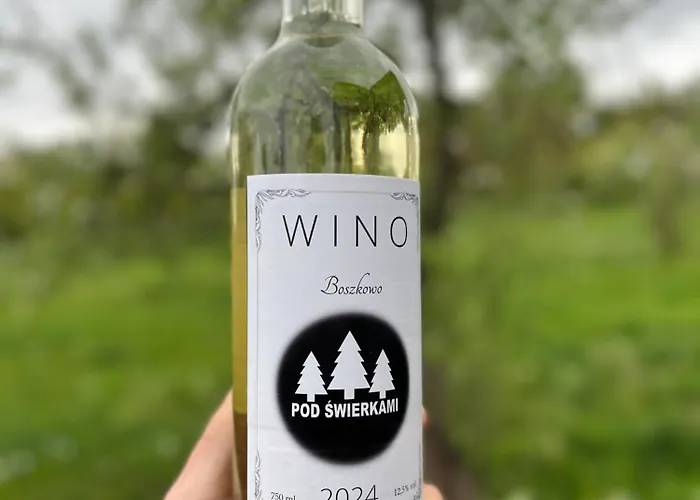 Дом отдыха Pod Swierkami