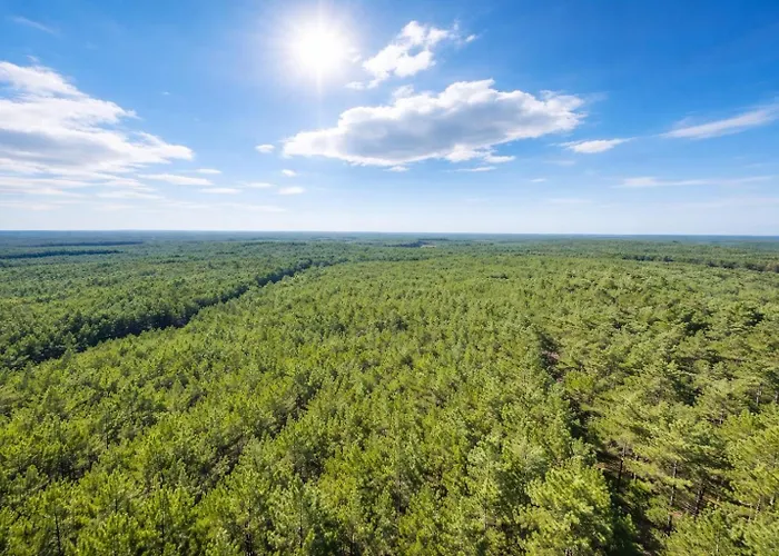 Pod Swierkami Дом отдыха