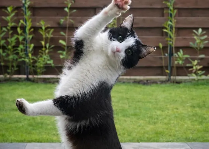 Pod Swierkami Дом отдыха