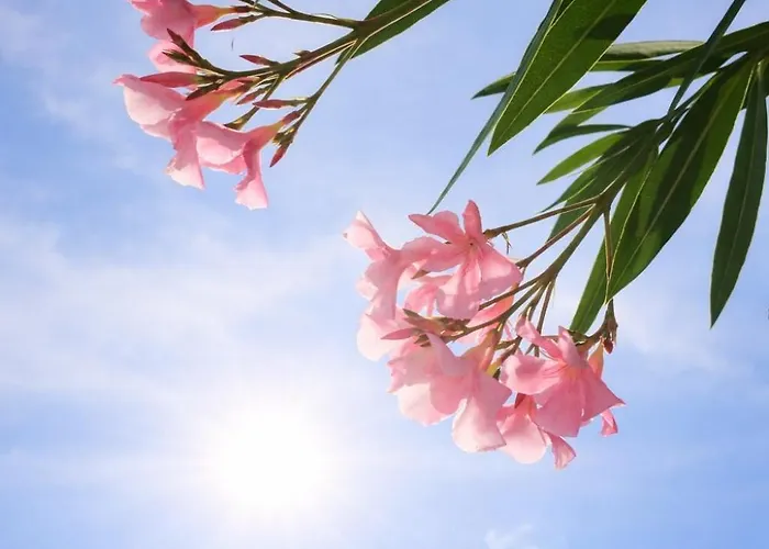 Дом отдыха Pod Swierkami