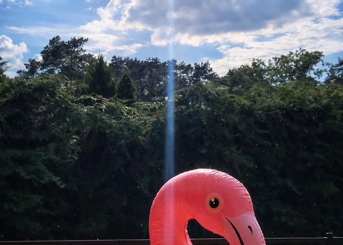 بيت للعطل Pod Swierkami *