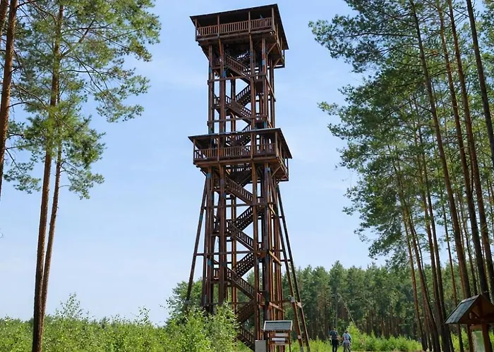 Дом отдыха Pod Swierkami