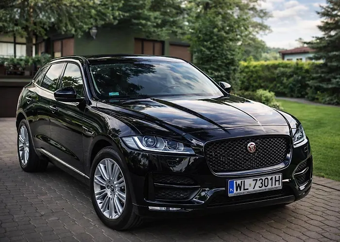 Pod Swierkami Holiday home *