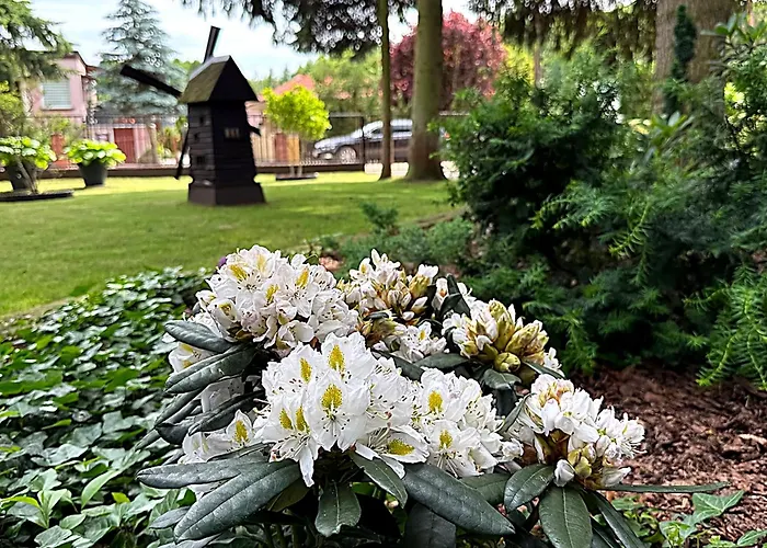 Дом отдыха Pod Swierkami